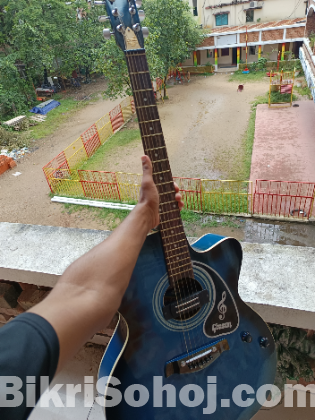 Gypshon guitar